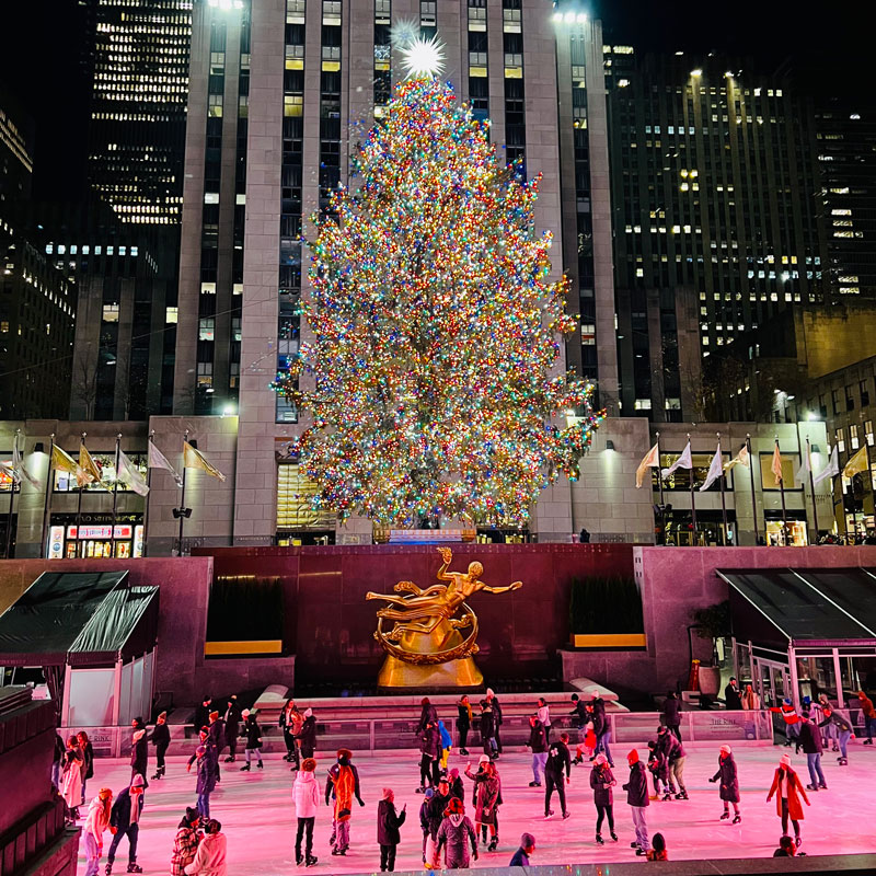 Spotlight on New York City Holiday